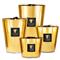 Baobab Collection Loft Les Exclusives Aurum Candle - Small