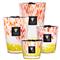 Baobab Collection Coastal Eden Trilogy Garden Candle - Small