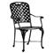Provance Ancient Earth White Cushion Outdoor Dining Arm Chair