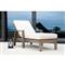 Ezra Modern Taupe Grey Aluminum Outdoor Adjustable Chaise Lounge