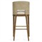 Adelyn Coastal Brown Teak Handwoven Seagrass Back Grey Performance Counter Stool