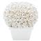 Boston French Country Blanc De Chine Porcelain Boxwood Topiary