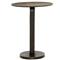 Sam Modern Classic Brown Aluminum Round Side End Table