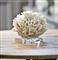 White White Ribbon Coral on Crystal Base