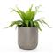 Yvonne Industrial Loft Grey Concrete Outdoor Round Planter