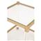 Rowan Modern Classic Glass Top Clear Acrylic Gold Metal Frame Side End Table