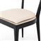 Tina Modern White Performance Upholstered Seat Black Cane Dining Chair