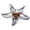 Simon Pearce Starfish Coastal Beach Clear Glass Dish