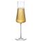 Stem Zero Modern Classic Clear Crystal Volcano Champagne Glass