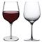 Terroir Modern Classic Clear Crystal Small Red Wine Glass - Set of 2