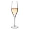 Vinifera Modern Classic Clear Crystal Champagne Glass - Set of 2