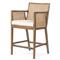 Annette Coastal Beach White Performance Natural Woven Cane Brown Wood Arm Counter Stool