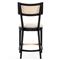 Tina Modern Cream Performance Upholstered Woven Cane Black Wood Counter Stool