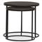 Ava Modern Classic Black Metal Outdoor Nesting Coffee Table - Set of 2
