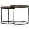 Ava Modern Classic Black Metal Outdoor Nesting Coffee Table - Set of 2