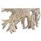 Prescy Coastal Beach Natural Teak Wood Root Console Table - Small