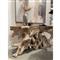 Prescy Coastal Beach Natural Teak Wood Root Console Table - Small