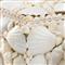 Lupis Coastal Beach Natural White Shell Decorative Boxes - Set of 3