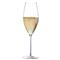 Stem Zero Modern Classic Clear Crystal Sparkling Wine Glass