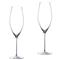 Stem Zero Modern Classic Clear Crystal Sparkling Wine Glass