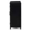 Elizabeth Modern Classic Black Iron Office Cabinet - Small