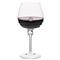 Juliska Amalia Light Body Modern Classic Clear Bohemian Red Wine Glass