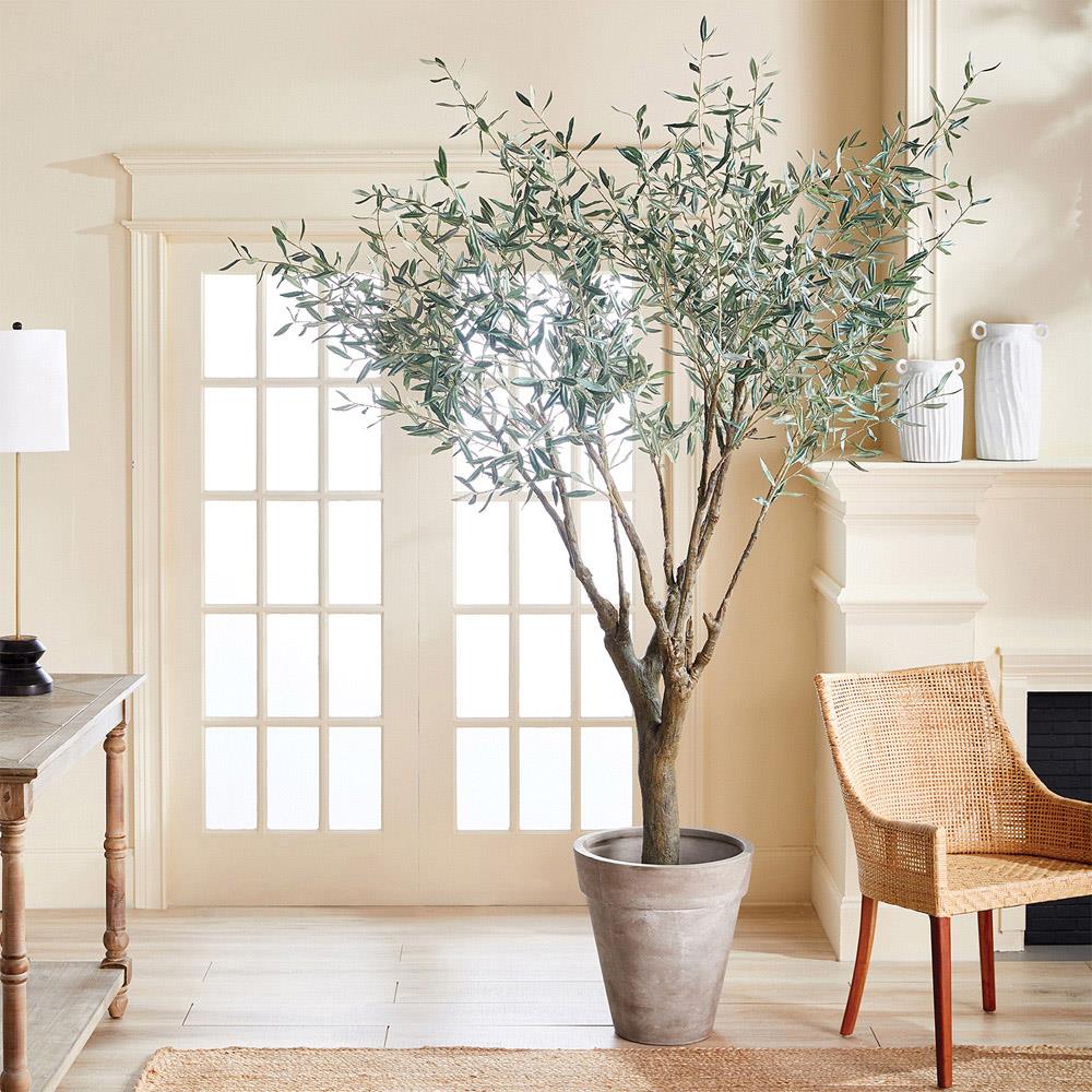 Apollo French Country Green Grand Olive Drop In Potted Tree - Large