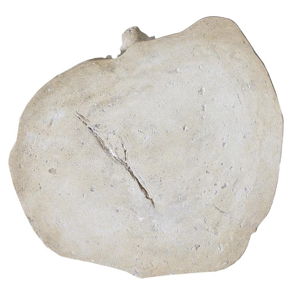 Nephele Roman Coastal Beach Off-White Resin Outdoor Stool - Large|