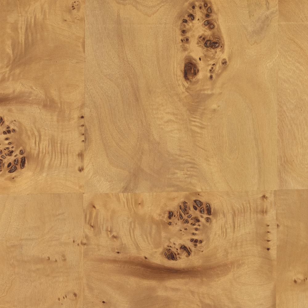 Cynthia Rustic Lodge Brown Burl Wood Square End Table|