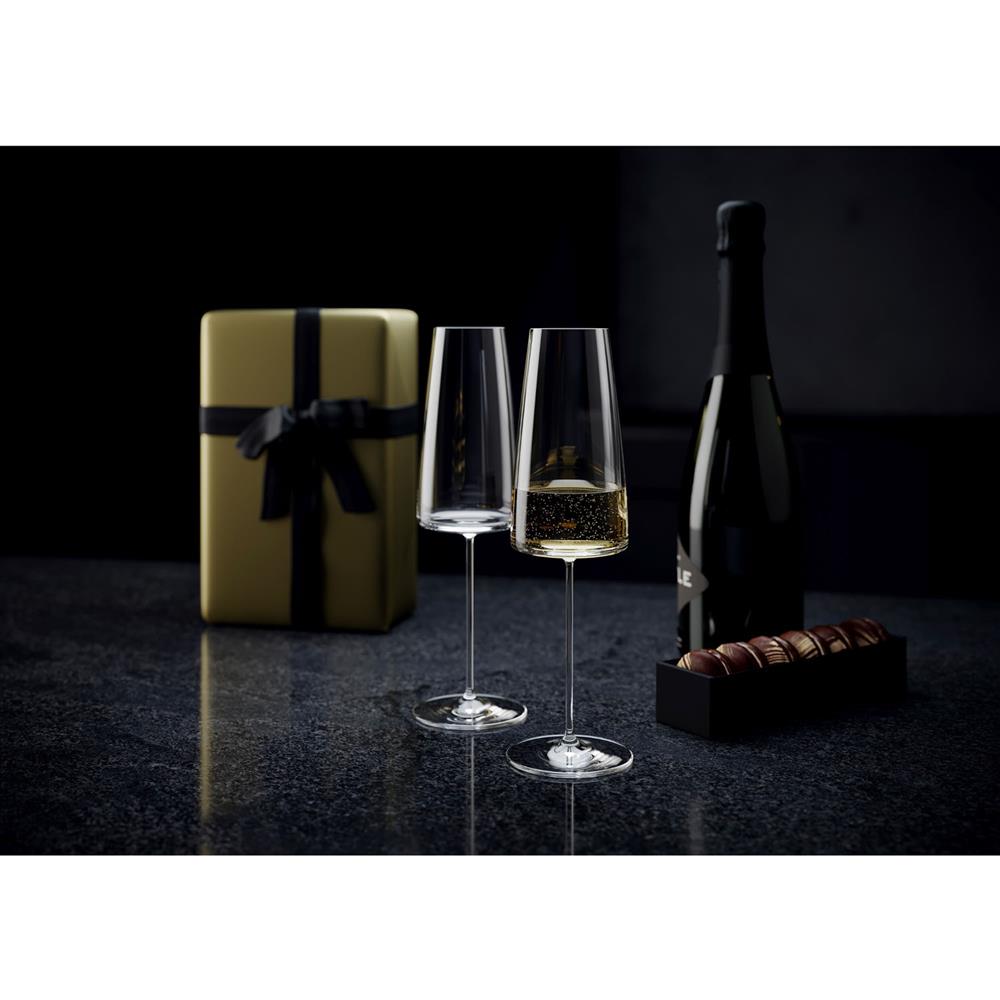 MetroChic Modern Clear Crystal Glass Champagne Flute - Set of 2|