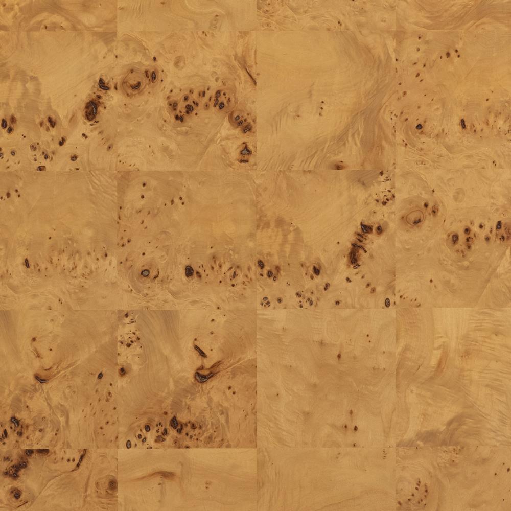 Cynthia Rustic Lodge Natural Burl Wood Curved Rectangular Coffee Table|