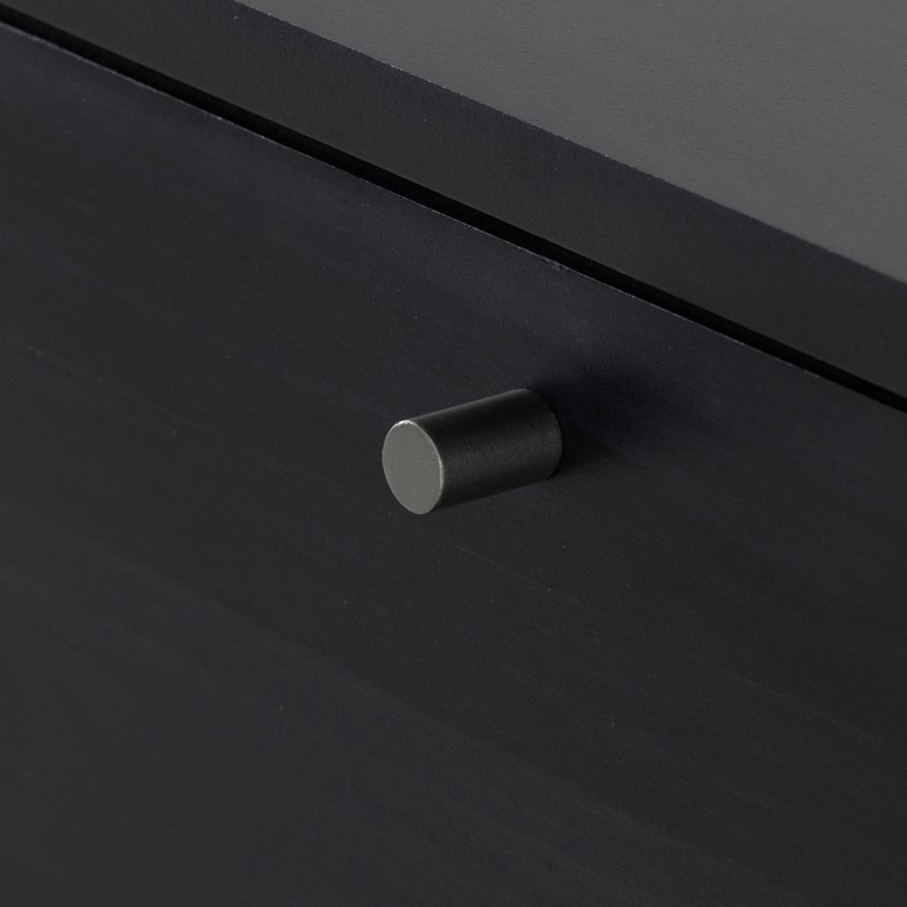 Luca Industrial Loft Black Wash Wood 2 Drawer 3 Door Media Console|