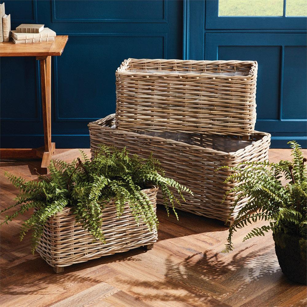 Haley Planters, Set of 3