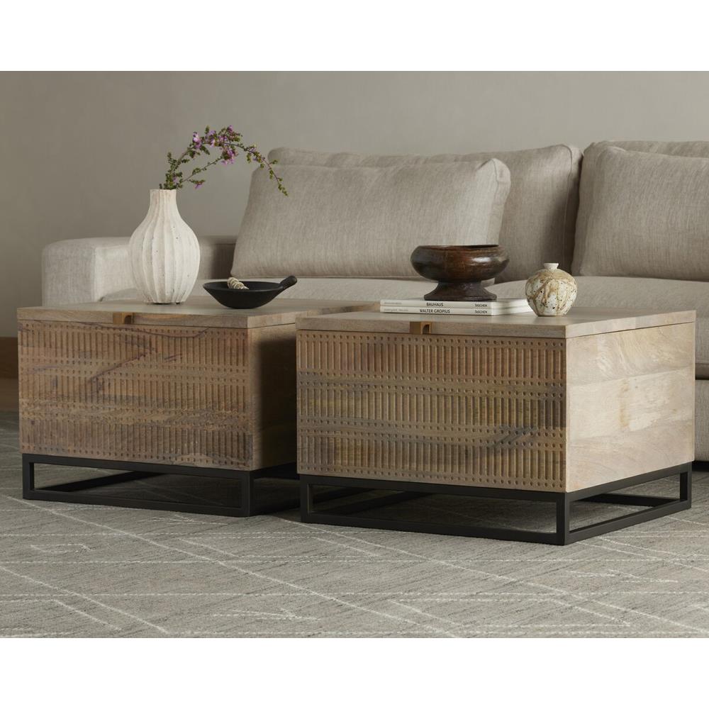 Madison Global Bazaar Light Wash Mango Wood Storage Coffee Table|