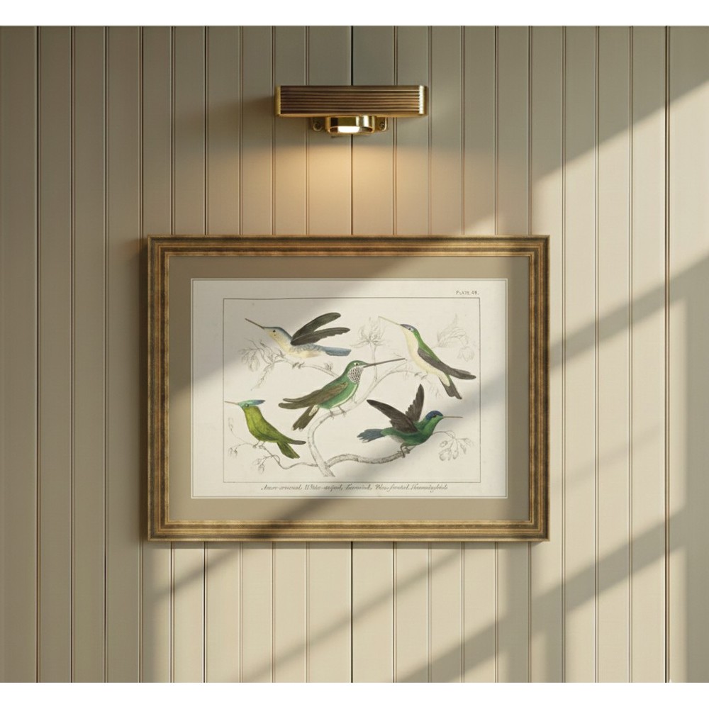 Meridee Traditional Green Hummingbird Gold Frame Illustration - 12x16|