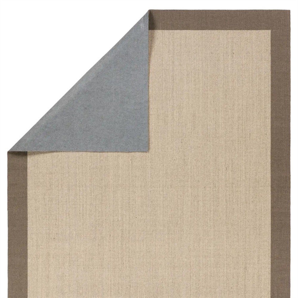 Rudo Coastal Beach Beige Sisal Border Rug - 5'x8'|