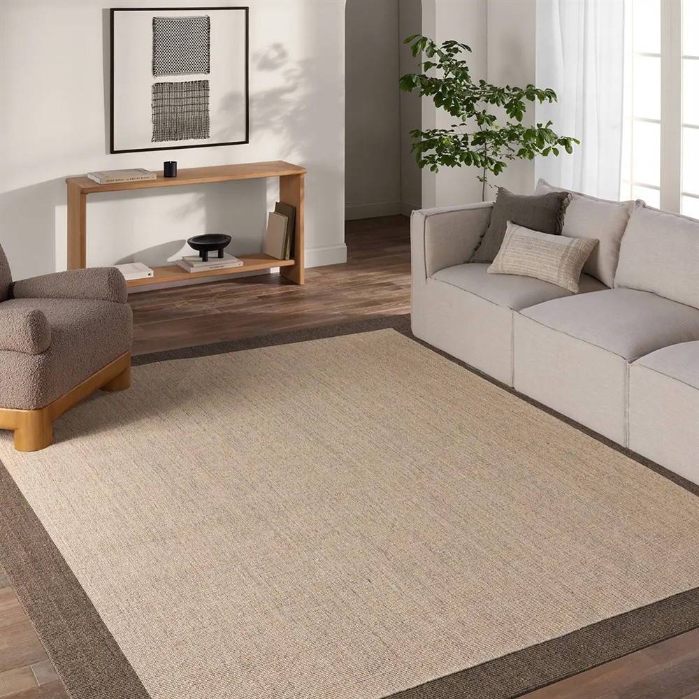 Rudo Coastal Beach Beige Sisal Border Rug - 5'x8'|