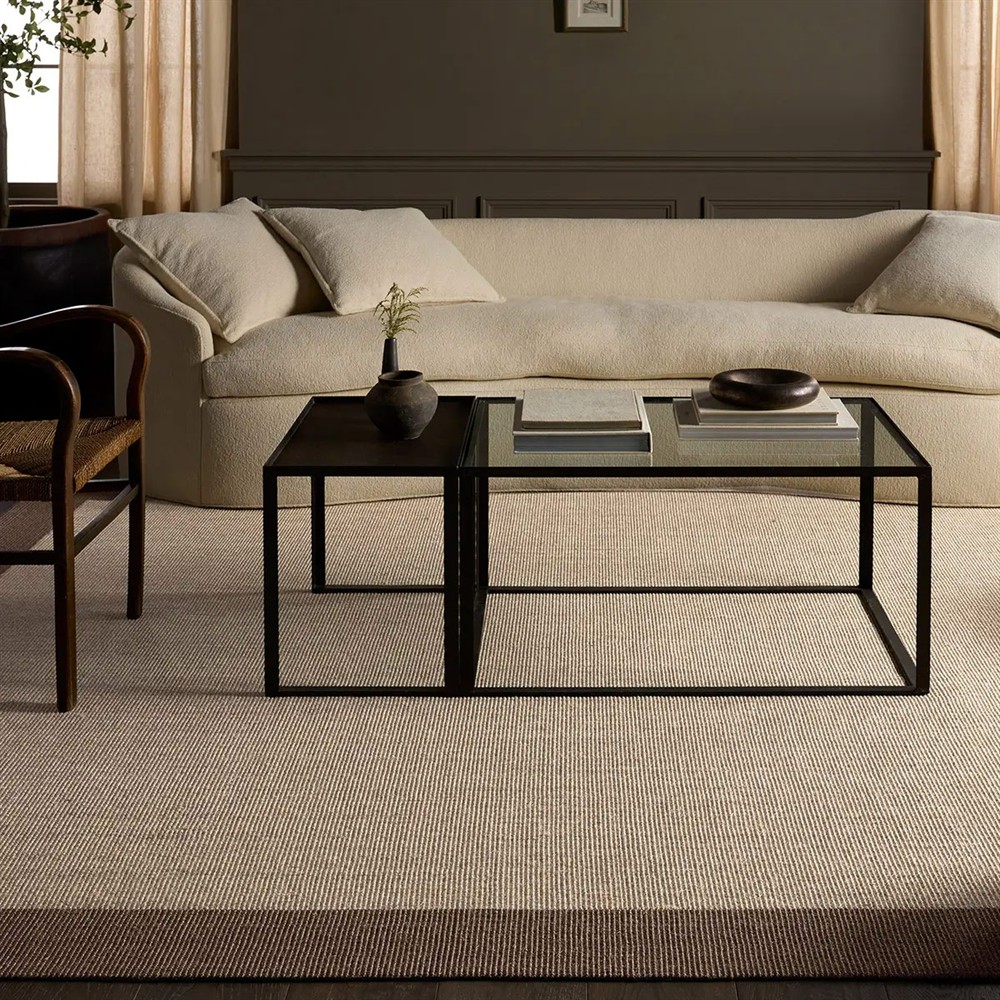 Rudo Coastal Beach Beige Sisal Border Rug - 5'x8'|