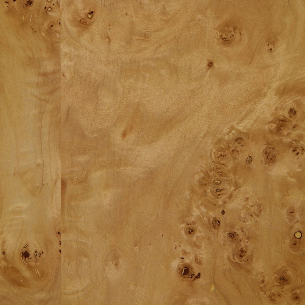 Mullins Modern Classic Natural Burl Double Dresser|