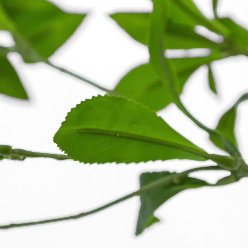 Bernice Updated Traditional Green Faux Pieres Potted Tree - 8'|