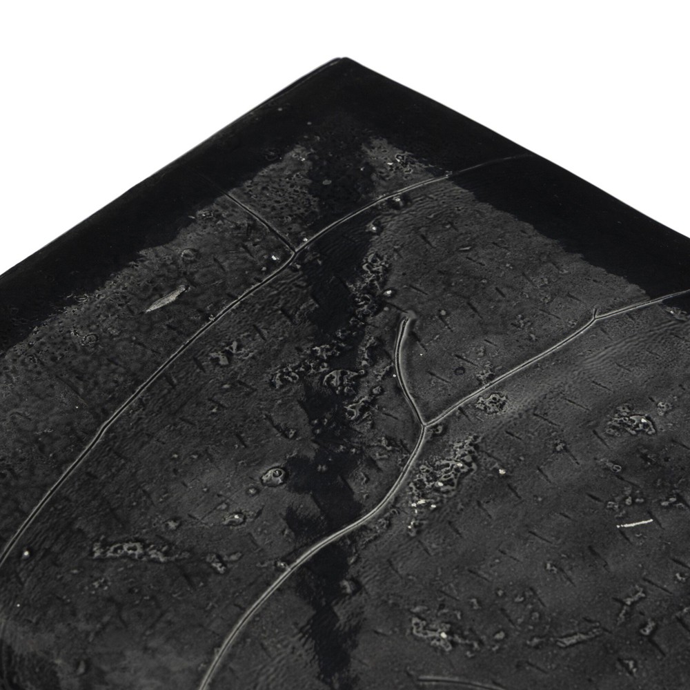 Fector Modern Classic Smoked Black Glass Iron Console Table|