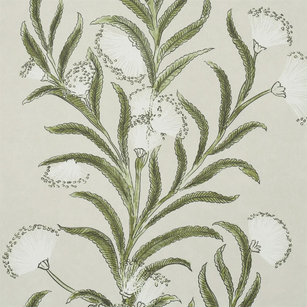 Schumacher Tasmanian Mimosa Ivory Botanical Wallpaper by the Yard