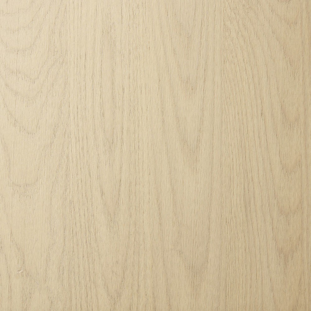 Blake Modern Classic Light Wash Wood Writing Desk|