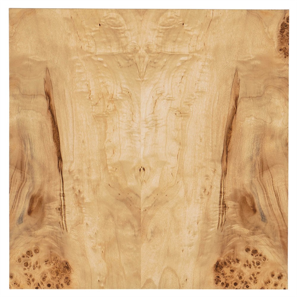 Aurore Modern Classic Brown Burl Wood Square Block Side Table|