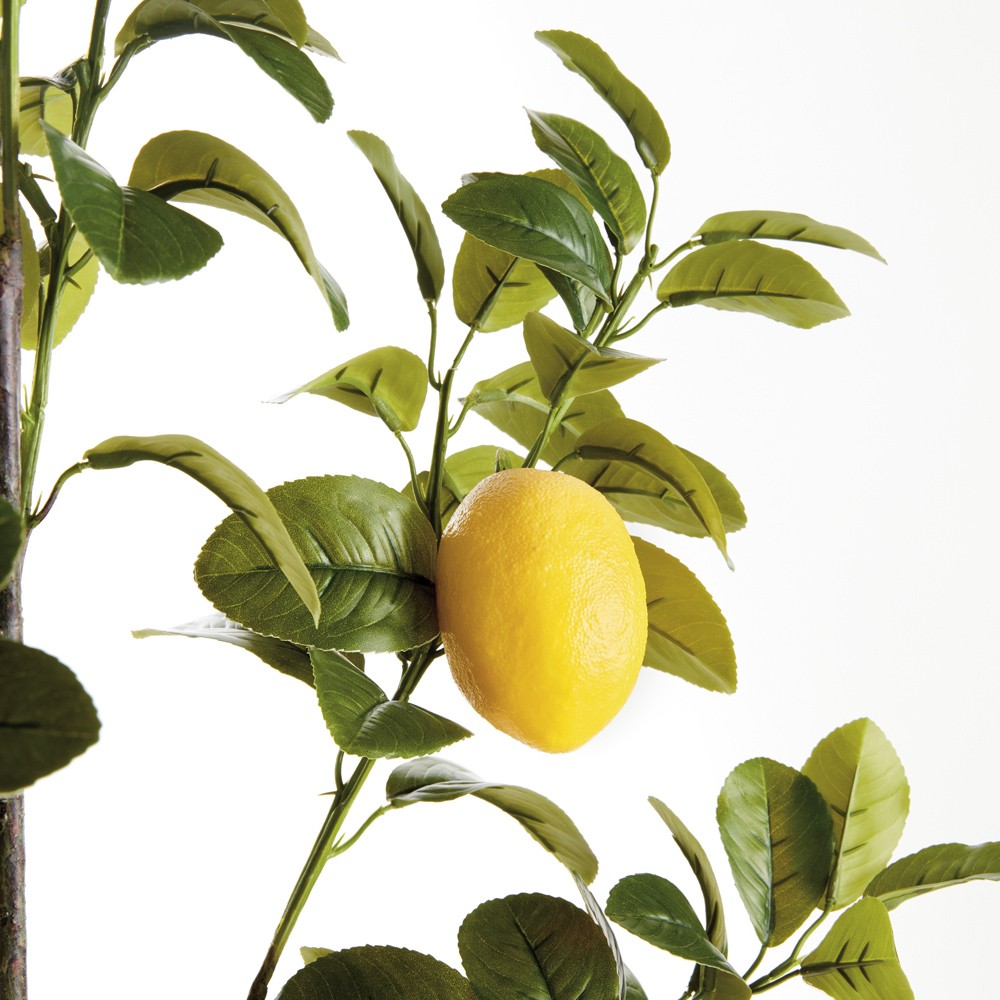 Arles French Country 43" Faux Lemon Branches - Set of 2|