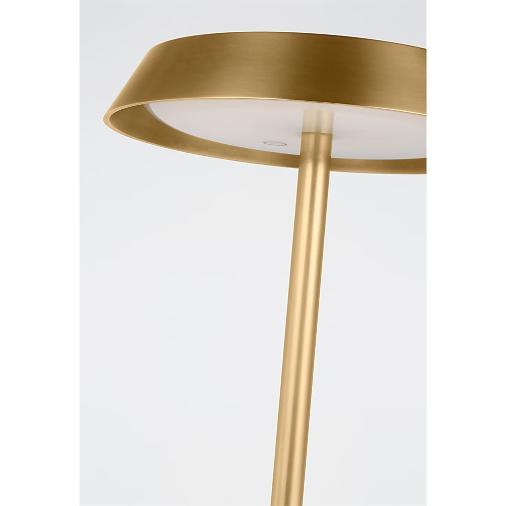 Tepa Modern Classic Antique Brass Rechargeable Outdoor Floor Lamp|