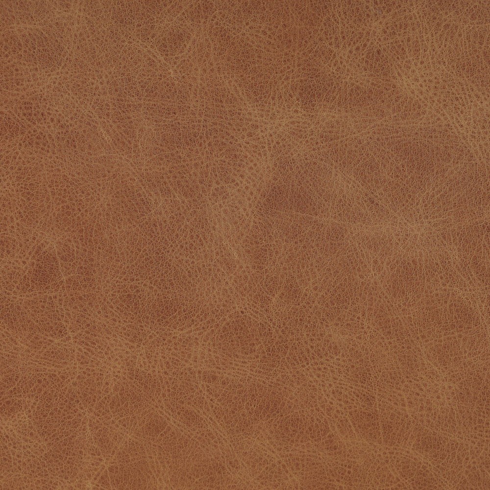 Quill Modern Classic Brown Leather Dining Arm Chair|