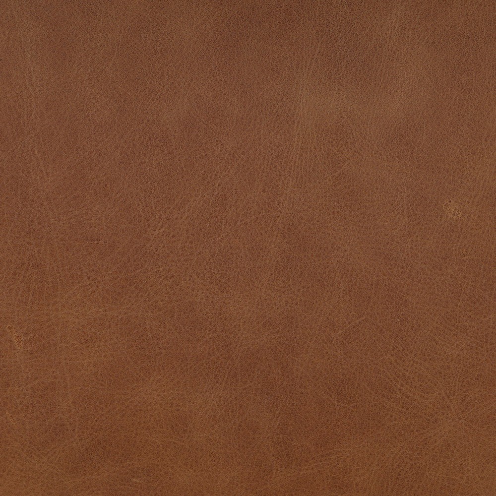 Ryver Modern Classic Brown Leather Beige Performance Dining Chair|