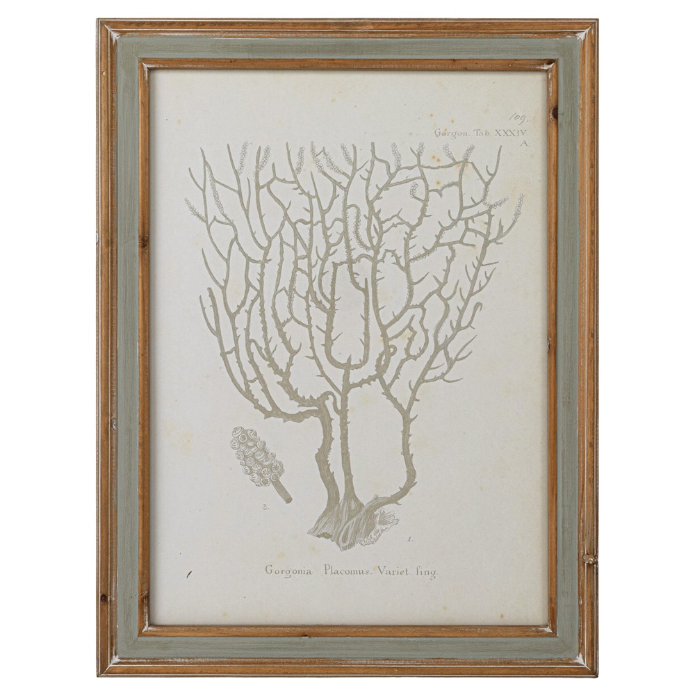 Arlene Costal Beach Grey Coral Brown Wood Frame Illustration - Set of 4|
