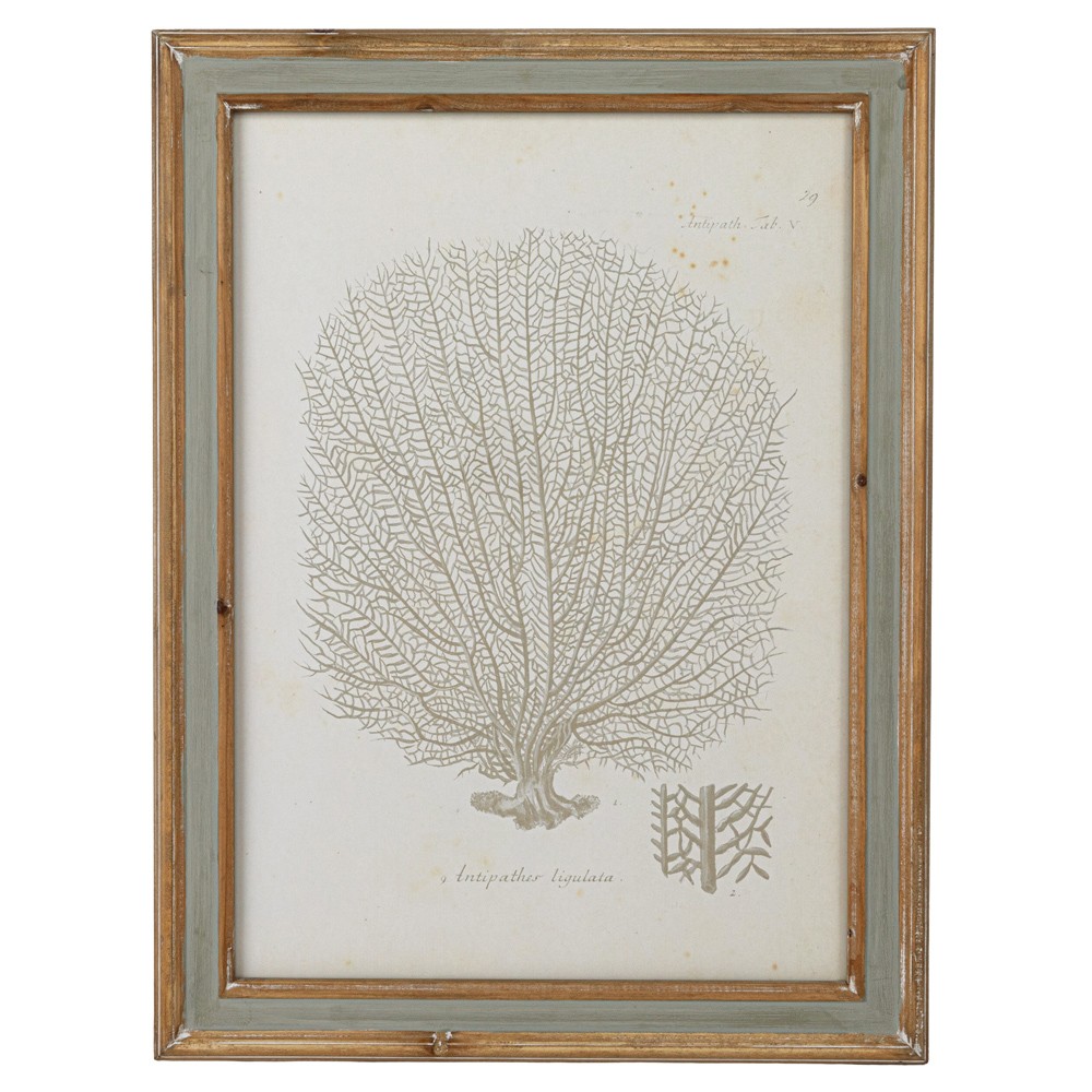 Arlene Costal Beach Grey Coral Brown Wood Frame Illustration - Set of 4|